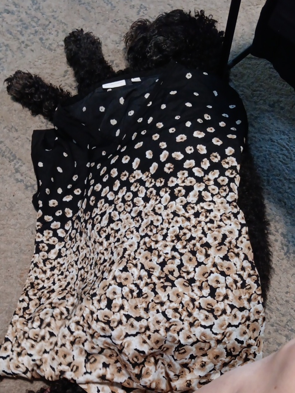 New York And Company Black, White And Gold Graduated Design. Doggie Not Included